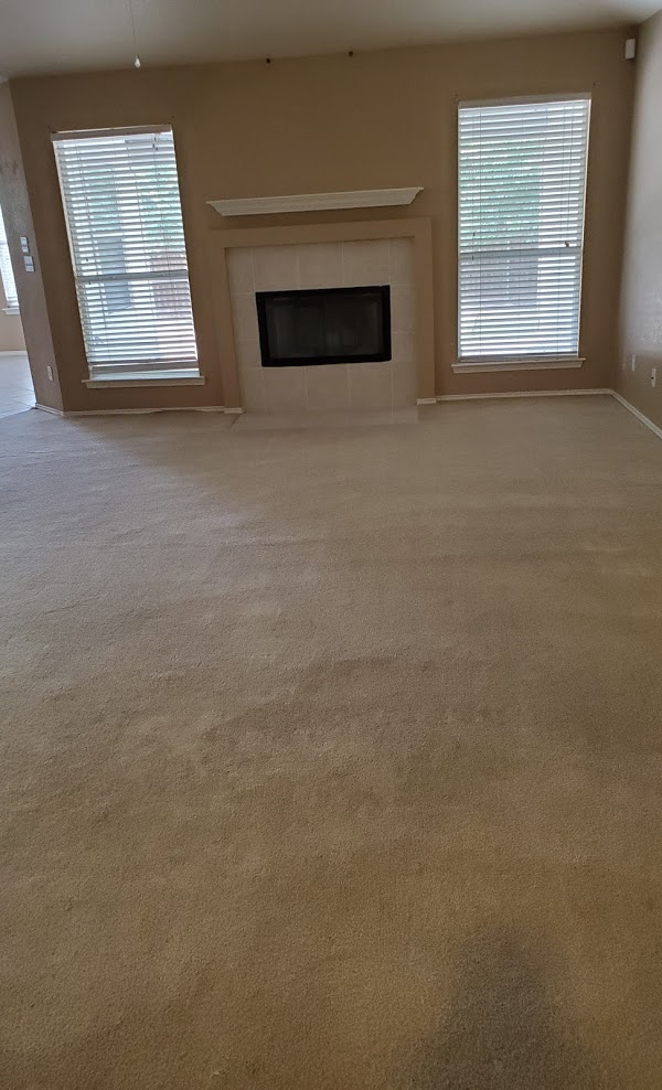 Living room carpet after cleaning, with fresh vacuum lines