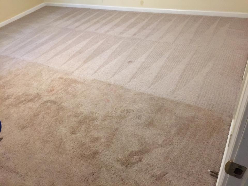 Carpet halfway through cleaning, with the cleaned side much lighter than the dirty side